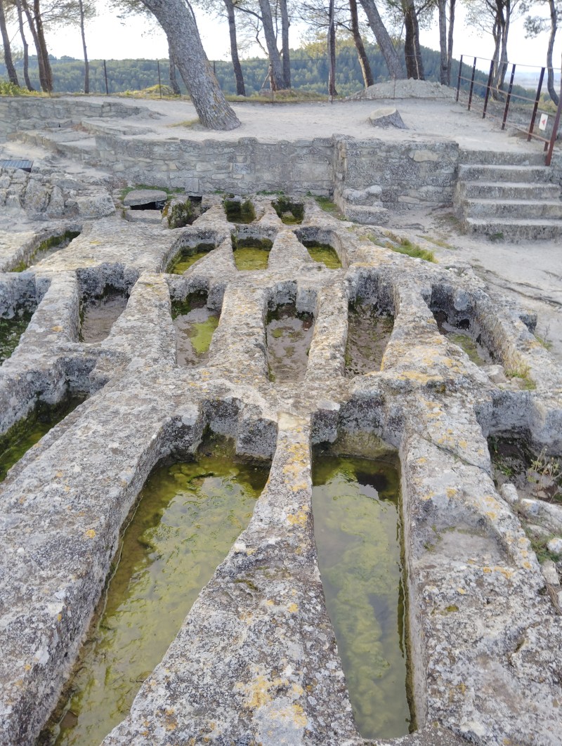 Abbaye de Saint-Roman