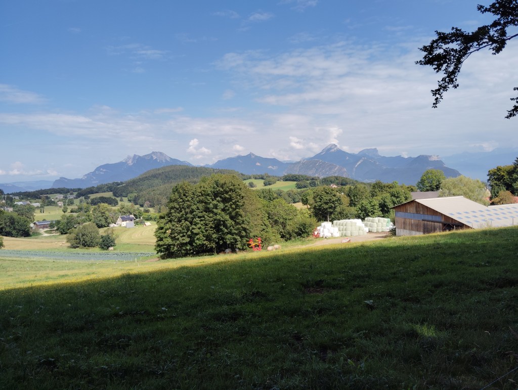 Vue depuis le sentier GR91 sur le Massif de la Chartreuse, France.

View from the GR91 trail overlooking the Massif de la Chartreuse, France.