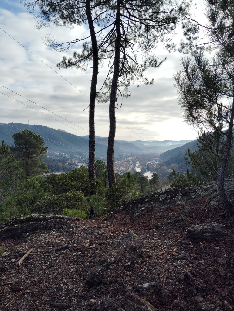 Arbres sur une colline le long du sentier PR5 près de Bessèges, Gard, France.

Trees on a hillside along the PR5 trail near Bessèges, Gard, France.