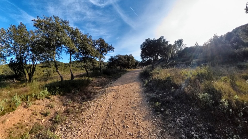 Sentier de terre s’étendant sous un ciel bleu clair, avec des arbres le long du chemin

Dirt trail stretching under a clear blue sky, with trees lining the side of the path.