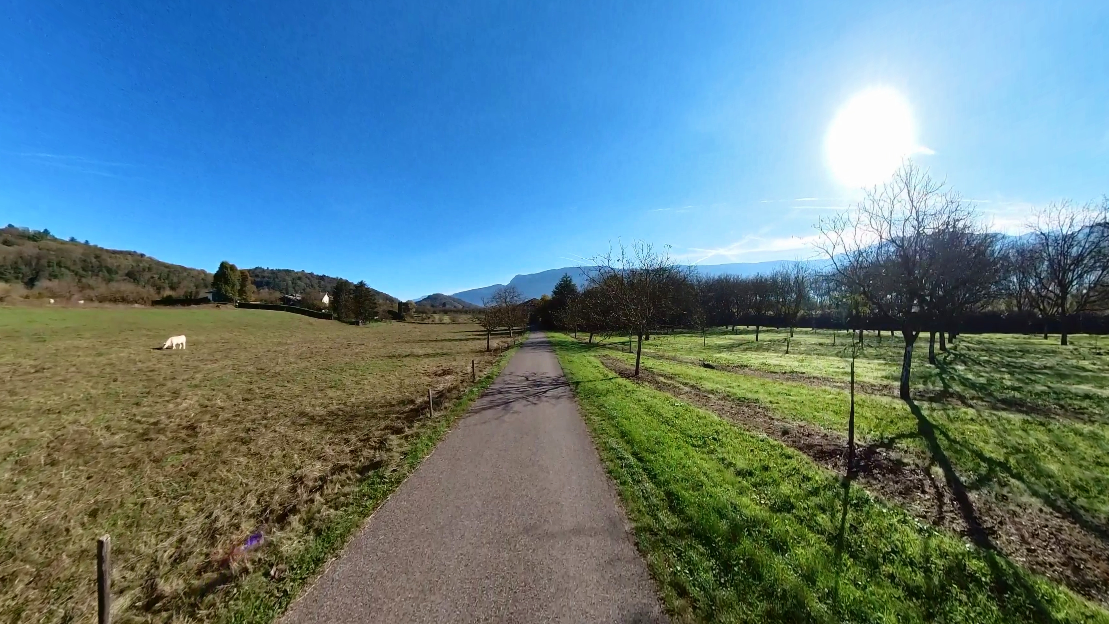 Chemin Verte V63, un sentier piéton et cyclable verdoyant à Saint-Égrève, en Isère, France, entouré d’arbres et de paysages naturels.

Chemin Verte V63, a green pedestrian and cycling path in Saint-Égrève, Isère, France, surrounded by trees and natural scenery.